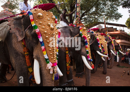 Indien, Kerala, Koorkancherry Sree Maheswaras Tempel, Thaipooya Mahotsavam Festival, Linie geschmückten Tempel Elefanten in der Abenddämmerung Stockfoto