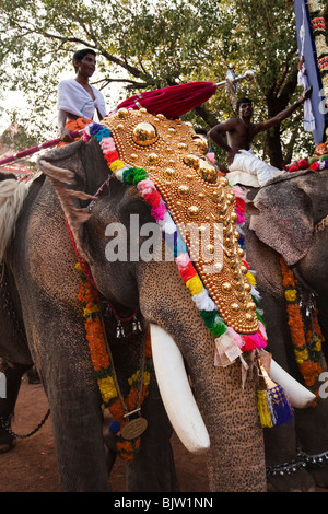 Indien, Kerala, Koorkancherry Sree Maheswaras Tempel, Thaipooya Mahotsavam Festival, geschmückten Tempel Elefanten in der Abenddämmerung Stockfoto