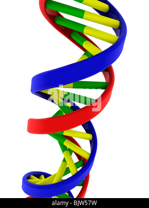 DNA-Doppelhelix-Modell - Nahaufnahme Stockfoto