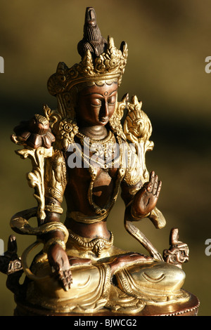 Weiße Tara tibetischen Drolma Statue Messing Skulptur buddhistische weibliche Gottheit Stockfoto