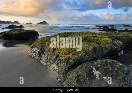 Felsküste bei Harris State Park Strand-Brookings, Oregon, USA. Stockfoto