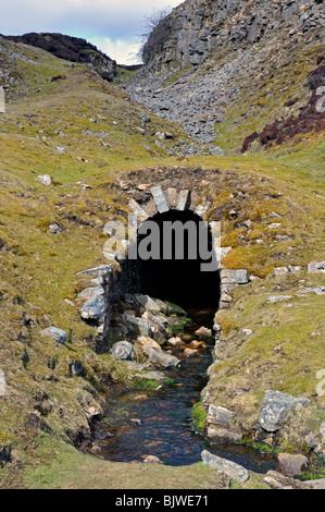 Eingang zu einer Mine Ebene. Die alten Bande Bleiminen. Alte Bande Beck, Swaledale, Yorkshire Dales National Park, Yorkshire, England. Stockfoto