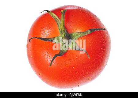 Tomaten auf einem reinen weißen Hintergrund isoliert Stockfoto