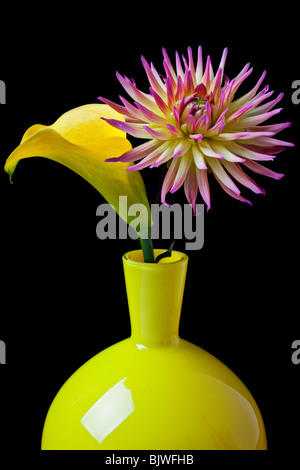 Gelbe Calla Lilie mit Dahila in gelber vase Stockfoto