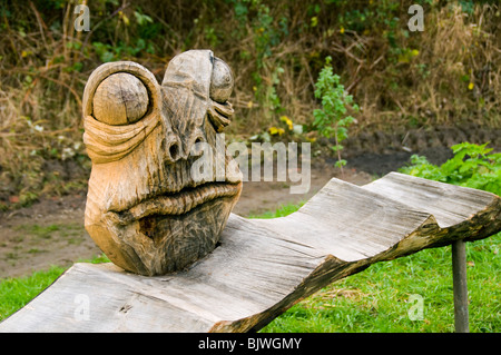 Froschschnitzerei im Daisy NOOK Country Park, Failsworth, Greater Manchester, England, Großbritannien Stockfoto