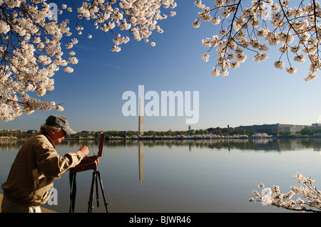 WASHINGTON DC, USA – Washington Monument und einige der 3700 Kirschblüten, die im Frühjahr um das Tidal Basin neben der National Mall blühen Stockfoto