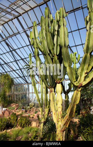 Royal Botanic Garden Edinburgh, Schottland Stockfoto