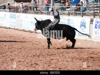 ein Cowboy konkurriert in der Bullenreiten Ereignis während der O' odham Tash All-indischen rodeo Stockfoto