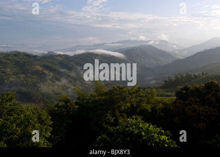 Blick auf das Tal von Hacienda El Caney (Plantage), in der Kaffee-wachsenden Region, in der Nähe von Manizales, Kolumbien. Stockfoto