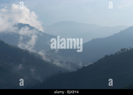 Blick auf das Tal von Hacienda El Caney (Plantage), in der Kaffee-wachsenden Region, in der Nähe von Manizales, Kolumbien. Stockfoto