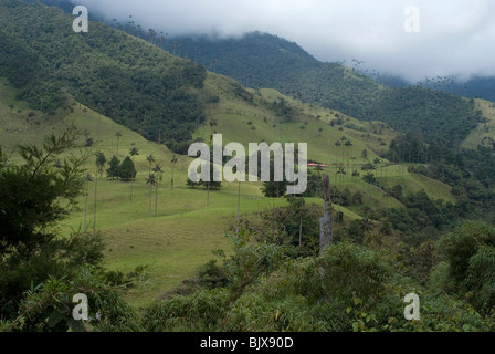 Das Valle de Corcora, einen Einstiegspunkt für den Parque Nacional de Los Nevados, Kolumbien. Stockfoto