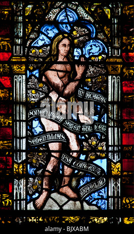 Mittelalterliche aus Buntglas aus Ostfenster zeigt Eva im Garten Eden innen 14. Jahrhundert Wells Cathedral Somerset Stockfoto
