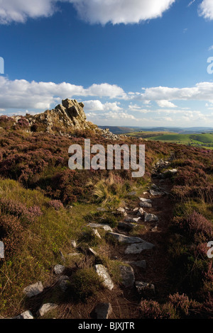 Stiperstones lila Heidekraut Tag blauer Himmel Sonnenschein im Sommer in der Nähe von Bischöfen Burg Shropshire Grenzen England Großbritannien GB UK Stockfoto