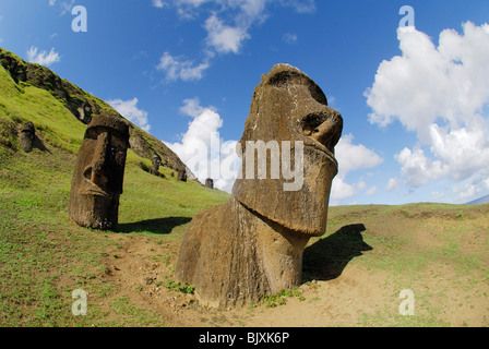 Moai Statuen in Osterinsel, Chile Stockfoto