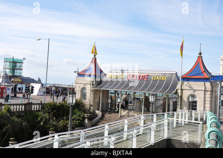 Brighton-Sea-Life Center, East Sussex, England, UK Stockfoto