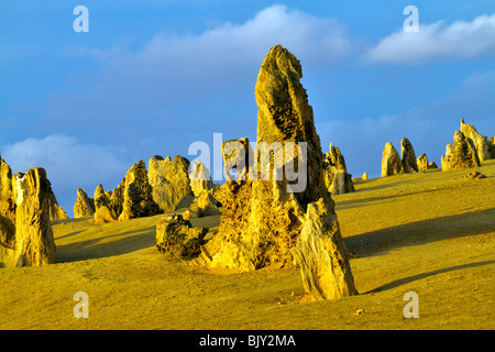 Die Pinnacles, Nambung National Park, Western Australia. Seltsame Felsformationen in einer Wüste der geblasenen sand Stockfoto