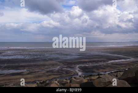 MEER KOHLE ANGESPÜLT AM STRAND VON SEATON CAREW IN DER NÄHE VON HARTLEPOOL Stockfoto