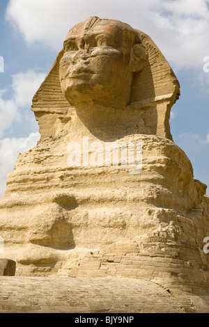 Die große Sphinx von Gizeh, gesehen aus dem Gehäuse der Sphinx, Kairo, Ägypten Stockfoto
