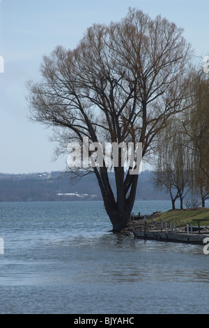 Gehäuse und Bäume Grenze Wasserzugang zum See Canandaigua, ein Finger Lake im Bundesstaat New York. Zeitigen Frühjahr Knospen auf Bäumen. Stockfoto