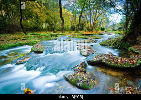 Der Fluss Le Ceou, Dordogne, Frankreich. Stockfoto