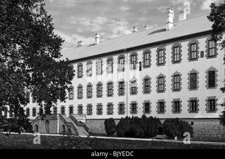 Elisabethenburg Palace in der historischen Stadt Meiningen Stockfoto