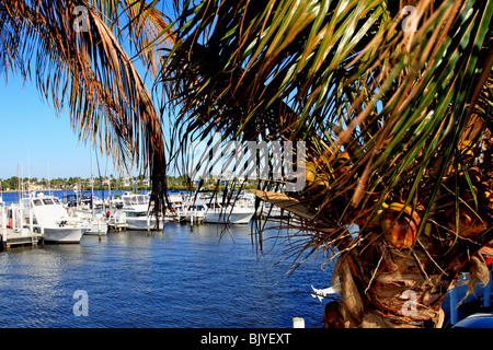 Fishermans Wharf an der Punta Gorda Florida USA Stockfoto