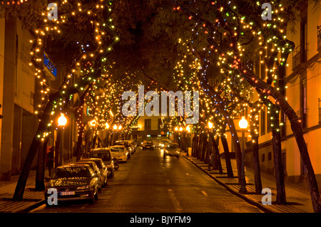 Funchal Madeira Portugal Madeira Funchal Bäume mit Weihnachtsbeleuchtung in der Innenstadt von Funchal Madeira Portugal EU Europa eingerichtet Stockfoto