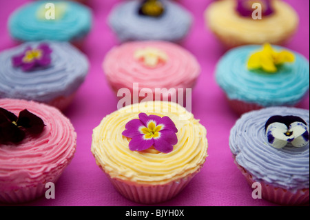 Bunte Cupcakes und essbare Frühlingsblumen Stockfoto