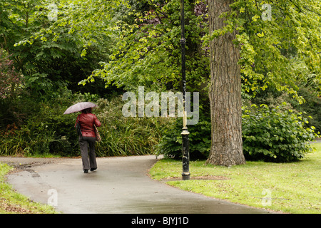 Junge Frau mit einem Regenschirm spazieren durch einen Park im Regen Stockfoto