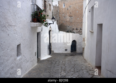 Typische Gasse, engen Straße, zwischen den weißen Häusern mit einer Palme in der Altstadt von Ibiza, Eivissa, Spanien, am 5. November 2006. Stockfoto