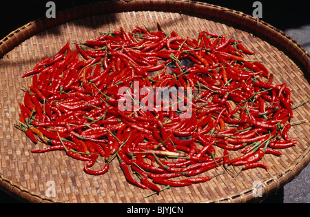 Rote Chilis trocknen in einem Bambuskorb, Kanchanaburi, Thailand Stockfoto