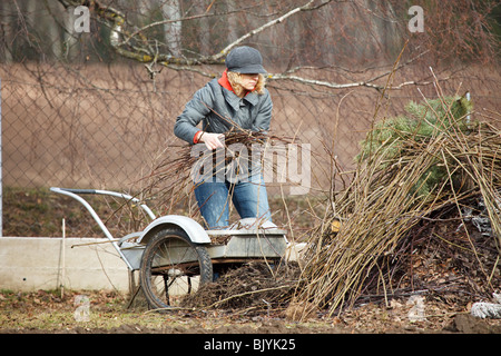 Frau, Schieben Karren in Garten, frühen Frühjahr Szene Stockfoto