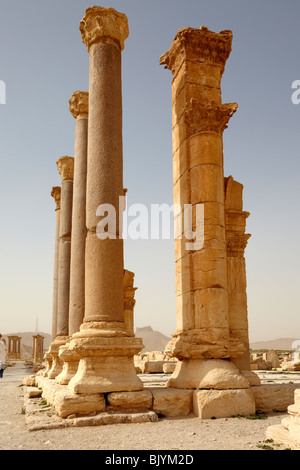 Palmyra Syrische Kolonnade und arabische Hügelfestung Stockfoto