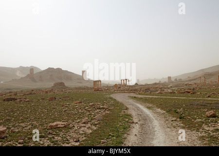 Palmyra Syria Tal der Gräber Stockfoto