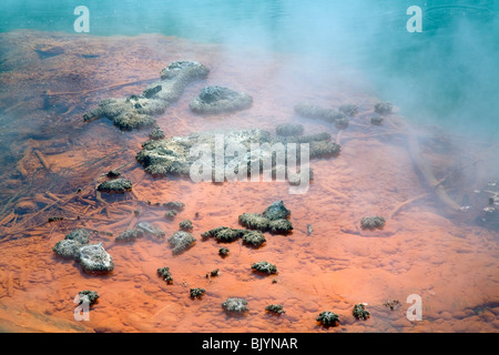 Reiche Mineralwasser aus Champagne Pool schafft orange farbigen Rand Wai-O-Tapu Thermal Wonderland Rotorua New Zealand Stockfoto