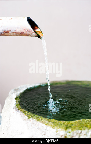 Onsen oder Sprudel Wasser fällt ins Becken aus der Wata-keine-Yu-Quelle in Shimosuwa, Nagano, Japan Stockfoto