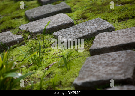 Trittsteine Weg Japanischer Garten Stockfotografie - Alamy