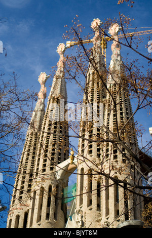 Entfernung anzeigen (aus dem gegenüberliegenden Park) auf Gaudi Architektur Kirche Sagrada Familia in Barcelona, Katalonien Reisen Spanien Stockfoto