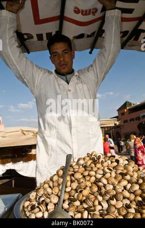Schnecken sind ein beliebtes Gericht in Marokko. Stockfoto