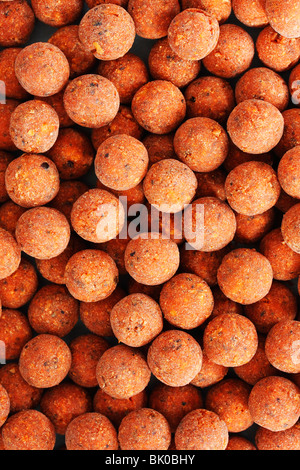 Ein Makro-Bild von Karpfen Köder (Boilies) Stockfoto