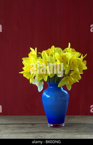 Gelbe Narzissen in blauer Vase. März 2010 Stockfoto