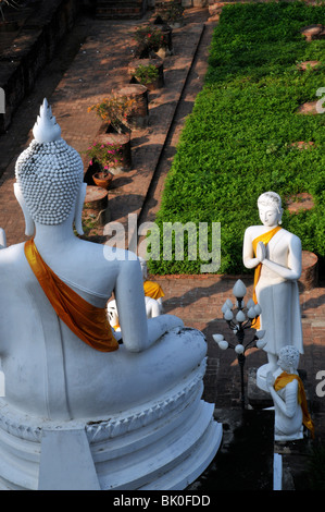 Le Wat Yai Chai Mongkons Thailande Stockfoto