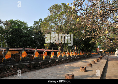 Thailande, Ayutthaya, Boudha Drapé, Le Phra Mongkons Bophi; Stockfoto