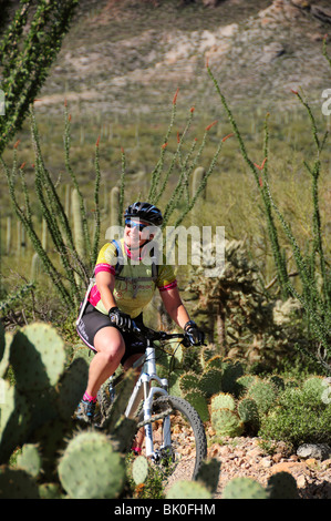 Ein Radfahrer fährt mit Saguaro Kaktus (Carnegiea Gigantea) in der Sonora-Wüste auf dem Starr Pass Trail in Tucson, Arizona, USA. Stockfoto