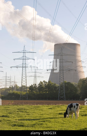 Kuh mit Rauchen Kühlturm Stockfoto