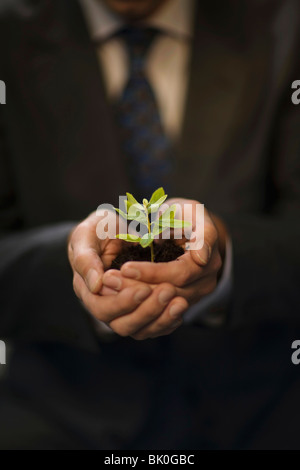 Mann, die Pflanze in den Händen halten Stockfoto