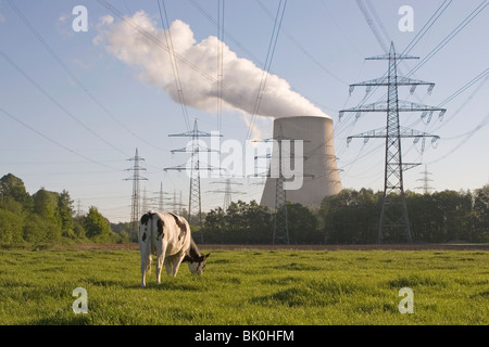 Kuh mit Rauchen Kühlturm Stockfoto