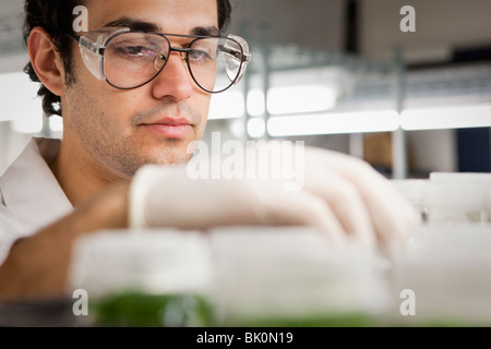 Nahen Ostens Wissenschaftler arbeiten im Labor Stockfoto