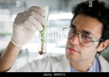 Nahen Ostens Wissenschaftler halten Exemplar in Fläschchen Stockfoto