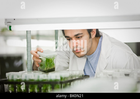 Nahen Ostens Wissenschaftler arbeiten im Labor Stockfoto